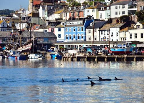 Torquay City Centre House | Scenic Trelawney Hotel - Oceanfront Guest House Retreat