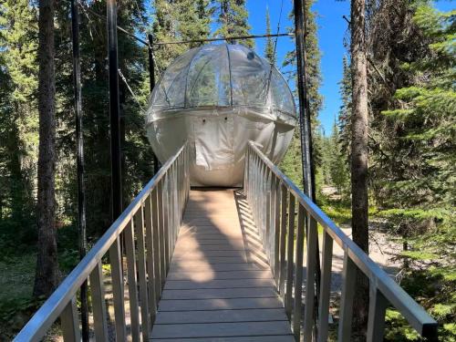 West Glacier Resort | Relax at Triple G’s Resort - Ideal for Families & Pets
