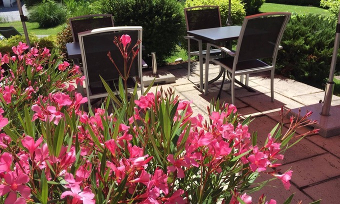 Schuttdorf Cottage | Perfect Triple Room at Lindenthaler Guesthouse with Breakfast