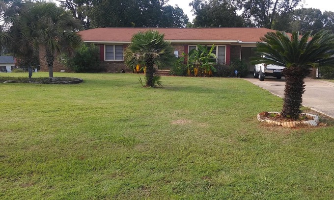 Taylorville House | Tropical Paradise: Ideal for Game-Day Getaways