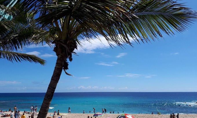 Boucan Canot Apartment | Beachfront T1bis Retreat in Boucan Canot with Pool & Spa