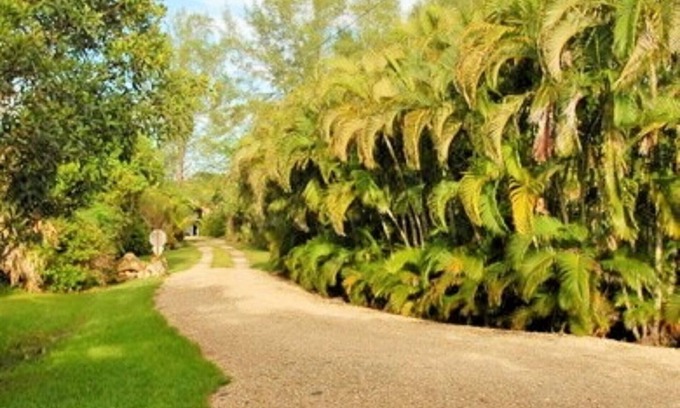 Sanibel House | Charming Sanibel Cottage: Pet-Friendly Retreat Near Beach