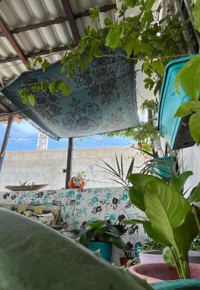 Ngor House | Discover Dar Dyâlî: Ocean View Near Ngor Beach
