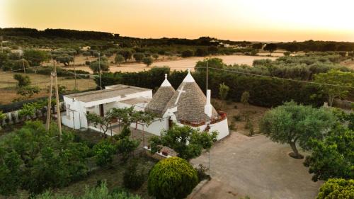 Putignano House | Trulli Ulivi: Guest Rated 9/10 with Pet-Friendly Amenities
