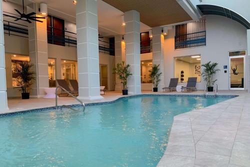 Rio Hondo Hotel | Discover TRYP by Wyndham Mayaguez: Pet-Friendly Comfort