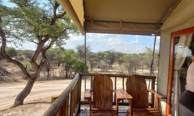 Kgalagadi District Hotel | Discover Tsabong Eco-Tourism Camel Park with Family-Friendly Amenities