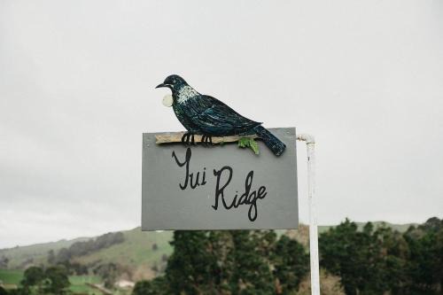 Waikato District House | Family-Friendly Tui Ridge Cottage - Rated 9.2/10 by Guests
