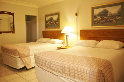 Woodstock Hotel | Comfortable Tulip Motel - Pet Friendly with Hot Tub Access