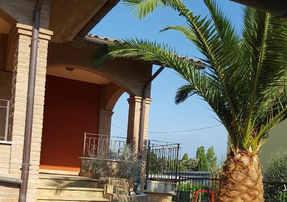 Marotta Bed & Breakfast | Pet-Friendly Tulipano Appartamenti with Top Guest Ratings