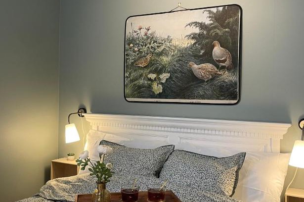 Sjobo Bed & Breakfast | Experience Pet-Friendly Comfort at Tullesbo Sätesgård