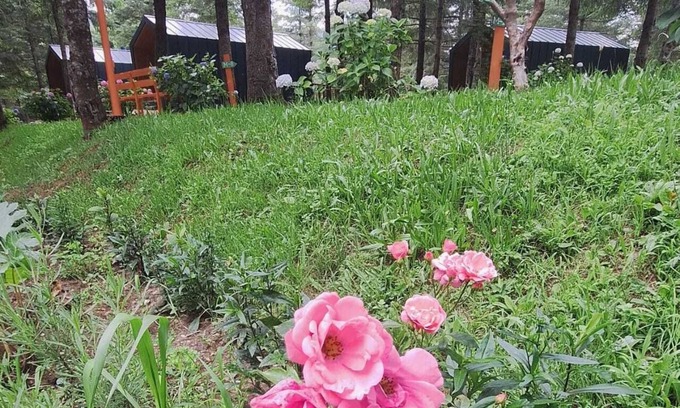 Kartepe Cabin | Top-Rated Tumba Sisli Vadi: Family-Friendly & Accessible Stay