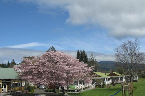 Turangi Hotel | Pet-Friendly Turangi Bridge Motel with Dining & Breakfast