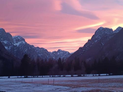 Mojstrana Apartment | Guest Rated 9/10: Turisticna Kmetija Psnak with Breakfast