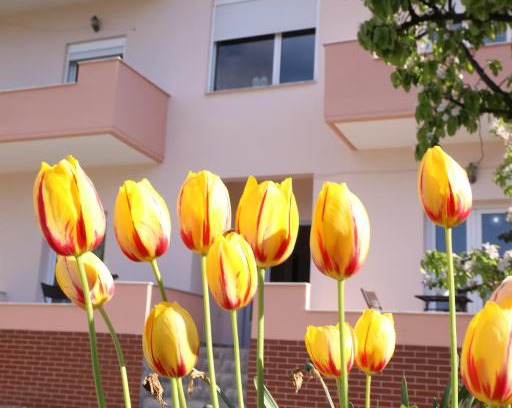 Piskupat House | Experience Turka Lake House: Guest Rated 10/10, Oceanfront Retreat
