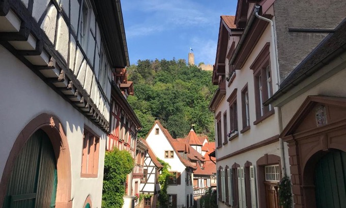 Weinheim Apartment | Discover Turmwohnung Büdinger Hof: Family-Friendly Retreat