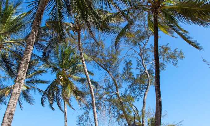 Watamu Resort | Relax at Turtle Bay Beach Club with Pool and Ocean Views