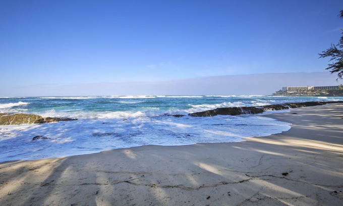 Kahuku Condo | Oceanfront Turtle Bay Primrose Condo with Pool & Kitchen
