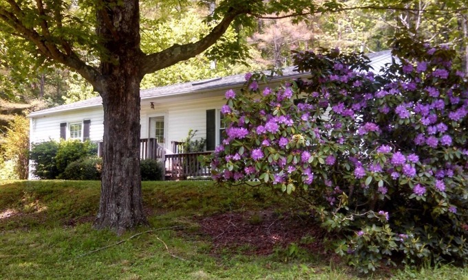 Upperglade House | Serene Riverfront 3 BR Home with Mountain Views & More