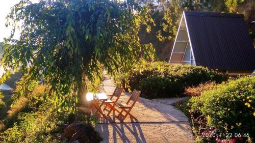 Da Lat Ski Chalet | Oceanfront Tuyết Hoa Hòn Bồ Homestay with Spa Retreat