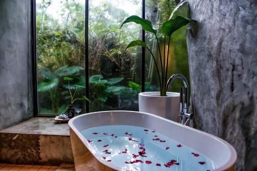 Ruifang Bed & Breakfast | Inviting Twilight Forest: Family-Friendly with Hot Tub