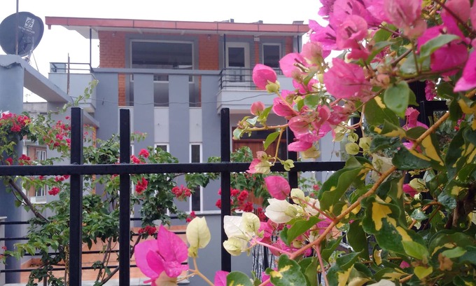 Lalitpur House | Two Bed Room Hall Full Furnished Private Home-Flat Available On Rent