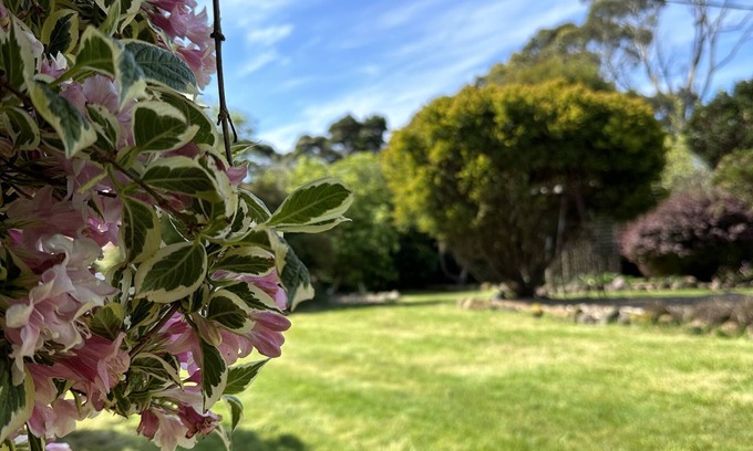 Lymwood House | Unforgettable Two Twenty Two Farm Stay with Ocean Views