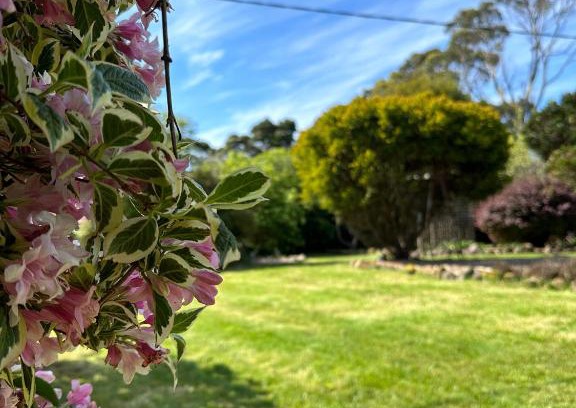 Lymwood House | Family-Friendly Retreat at Two Twenty Two Farm Stay
