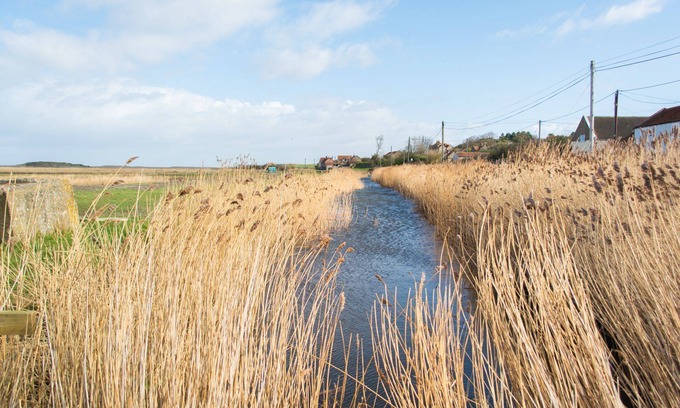 Salthouse Cottage | Escape to Tystie Cottage | Oceanfront Retreat in Nature