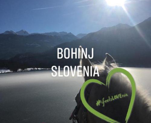 Bohinjska Cesnjica House | Explore Učni Ranč in Bohinj: Pet-Friendly Retreat