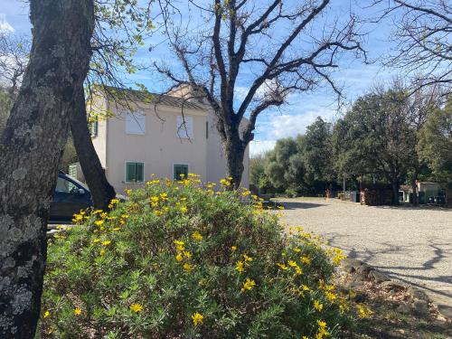 Patrimonio House | Experience U FARNIENTE: Oceanfront Bliss with a 9.8 Rating