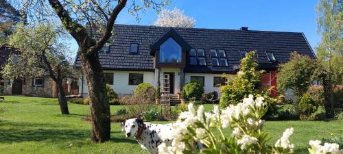 Szczytna House | U Helci: A Tranquil Retreat for Adults in Nature's Embrace