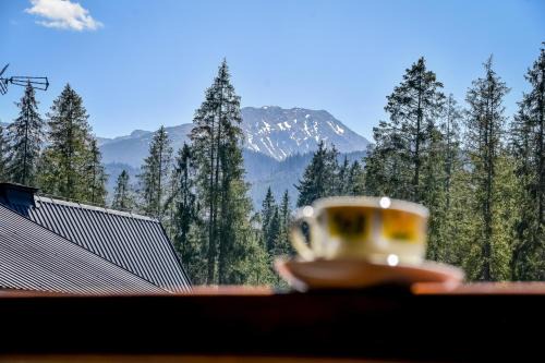 Male Ciche Bed & Breakfast | Guest-Rated Pokoje Gościnne U Topora: Pet-Friendly Escape