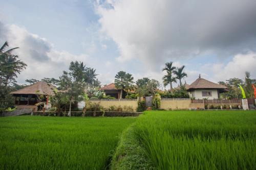 Andong Bed & Breakfast | Discover Ubud Luwih Nature Retreat: 4-Star Comfort Awaits