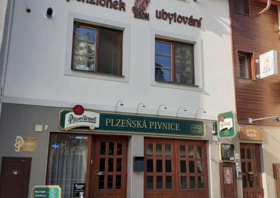 Hlinsko Hotel | Pet-Friendly Stay at Ubytování nad Bisonem with Ocean Views