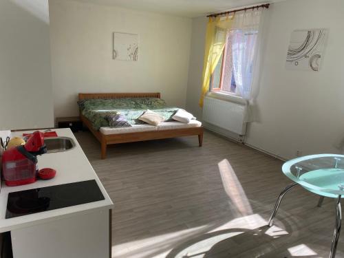 Straz nad Nezarkou Apartment | Inviting Stay at Ubytování U Jeníka with Pool Access
