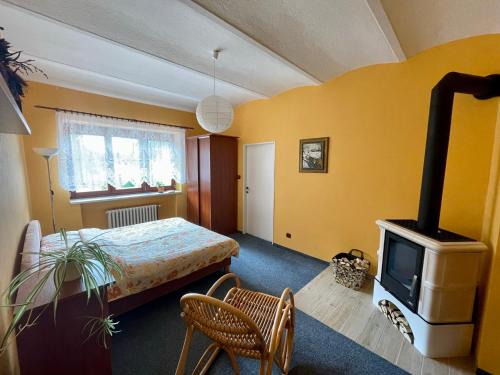 Horni Lanov Apartment | Family-Friendly Apartment Peklíčko in Beautiful Krkonoš