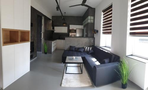 Vitkov Apartment | UbytovaniRadost