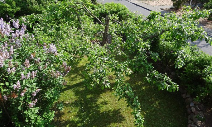 Kopperby Apartment | Pet-Friendly Uferschwalbe with Ocean Views & Top Ratings