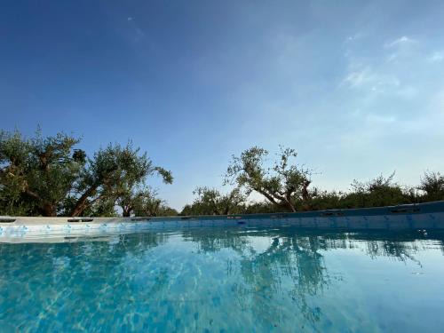 Rosolini House | Pet-Friendly Uliveto Nonno Giacomo with Pool & High Ratings