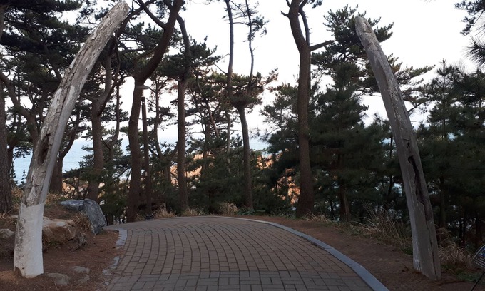 Dong-gu House | Eco-Friendly Ulsan Guest House BaehoHanmaru with Pool