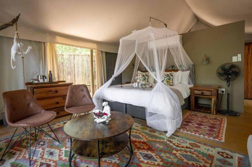 Kruger National Park Other | Experience Umkumbe Bush Lodge: Top-Rated Tented Camp Stay