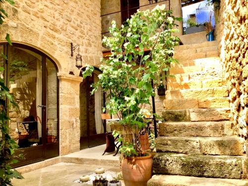 Ansouis Bed & Breakfast | Pet-Friendly Retreat at Un Patio en Luberon: Rated 9.5/10