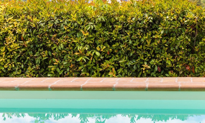 Castiglione della Valle Other | Discover Un Petit Paradis: Pool, Spa & Family-Friendly Fun