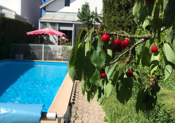 Jouvence Villa | Experience Timeless Elegance in Dijon with Premium Amenities
