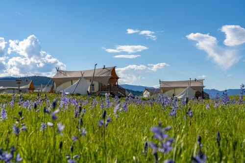 West Yellowstone Other | Explore Under Canvas West Yellowstone: Pet-Friendly Retreat