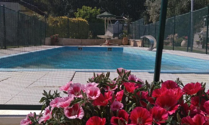Aseret House | Serene Escape at Under The Fig Tree with Inviting Pool