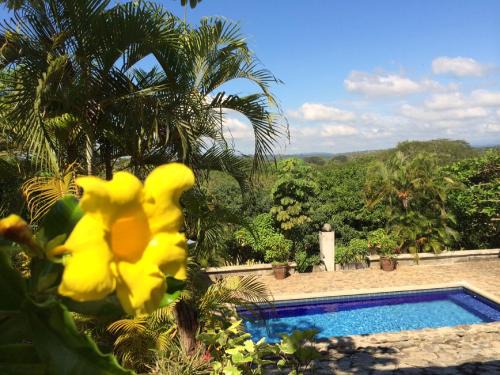 Coyolar House | Discover Unique Architecture with 3 Pools & Free Wi-Fi