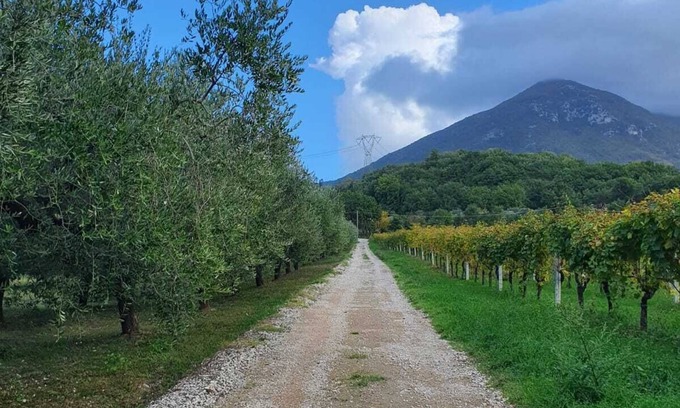 Melizzano Cottage | Charming Countryside Loft Room with Pool Near Naples