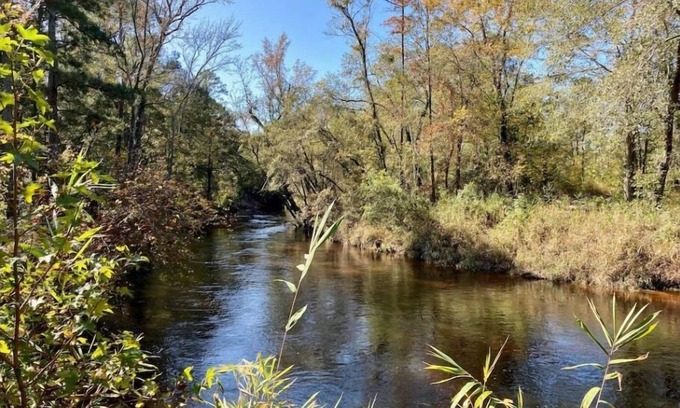 South View House | Discover Unique Creekside Retreat with Family-Friendly Amenities