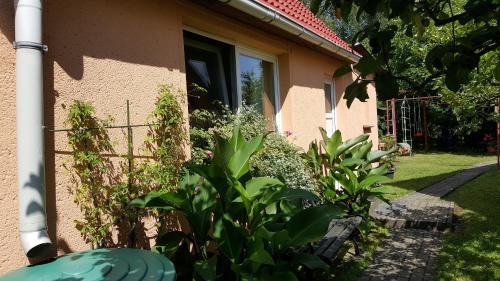 Krakow am See House | Discover Uns lütt Hus: Pet-Friendly Family Retreat